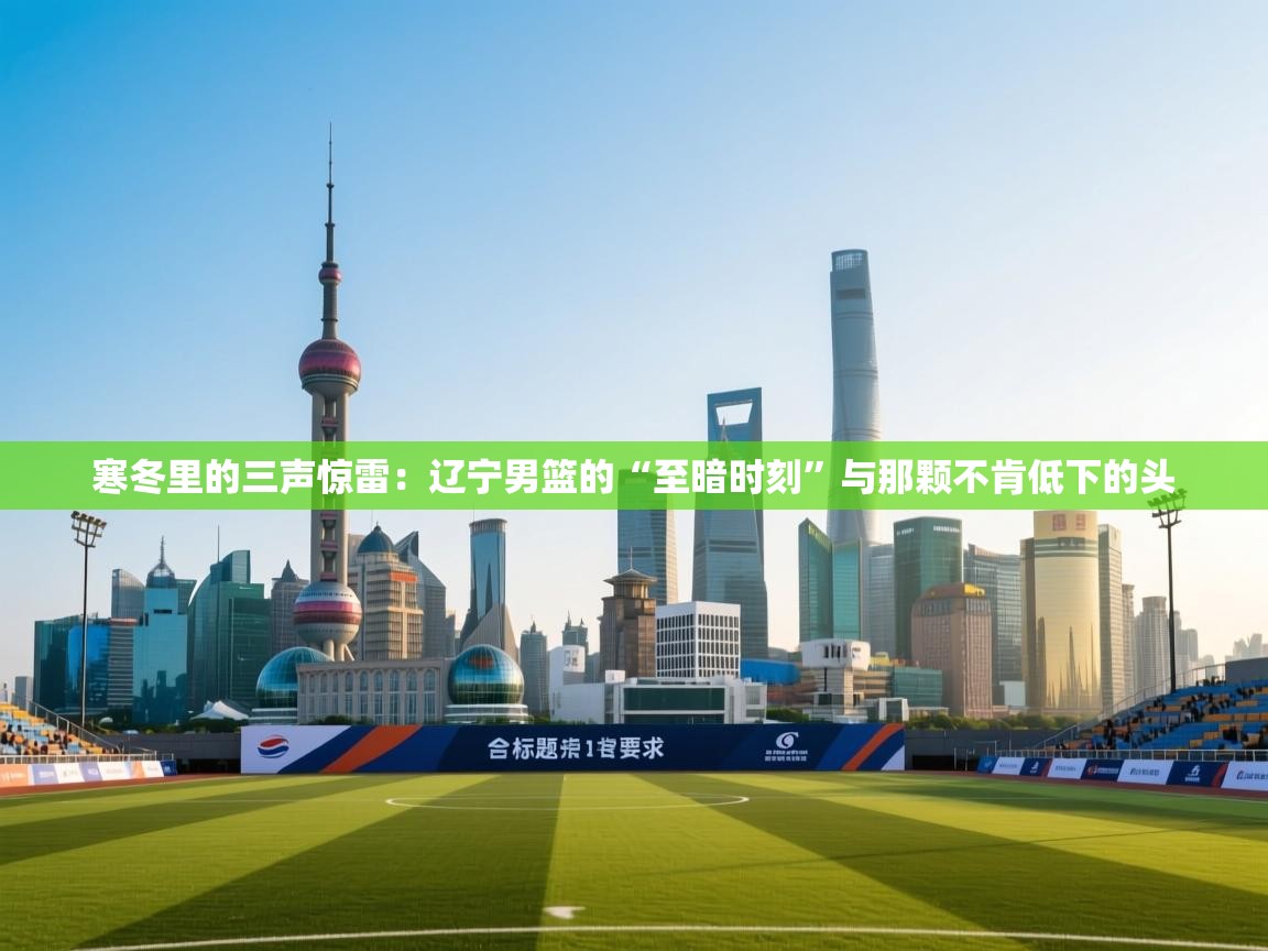 寒冬里的三声惊雷：辽宁男篮的“至暗时刻”与那颗不肯低下的头