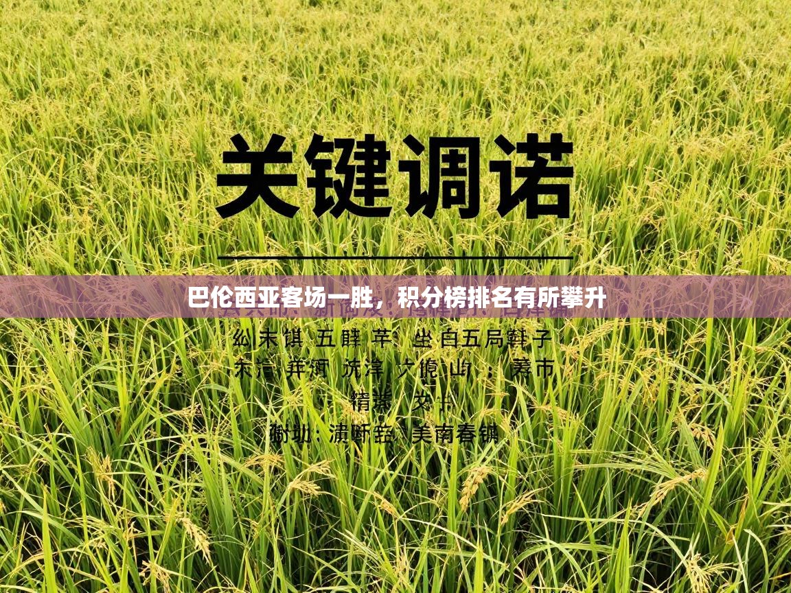 巴伦西亚客场一胜，积分榜排名有所攀升